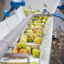 Saft aus eigenem Obst