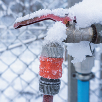 Gartentipp: alles winterfest machen