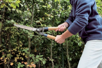 Rückenschule: Hecke schneiden