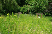 Von Blumenwiesen, Trockenmauern und Nisthilfen