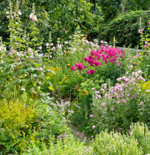 Naturnahes Gärtnern – Ein Staudenbeet anlegen